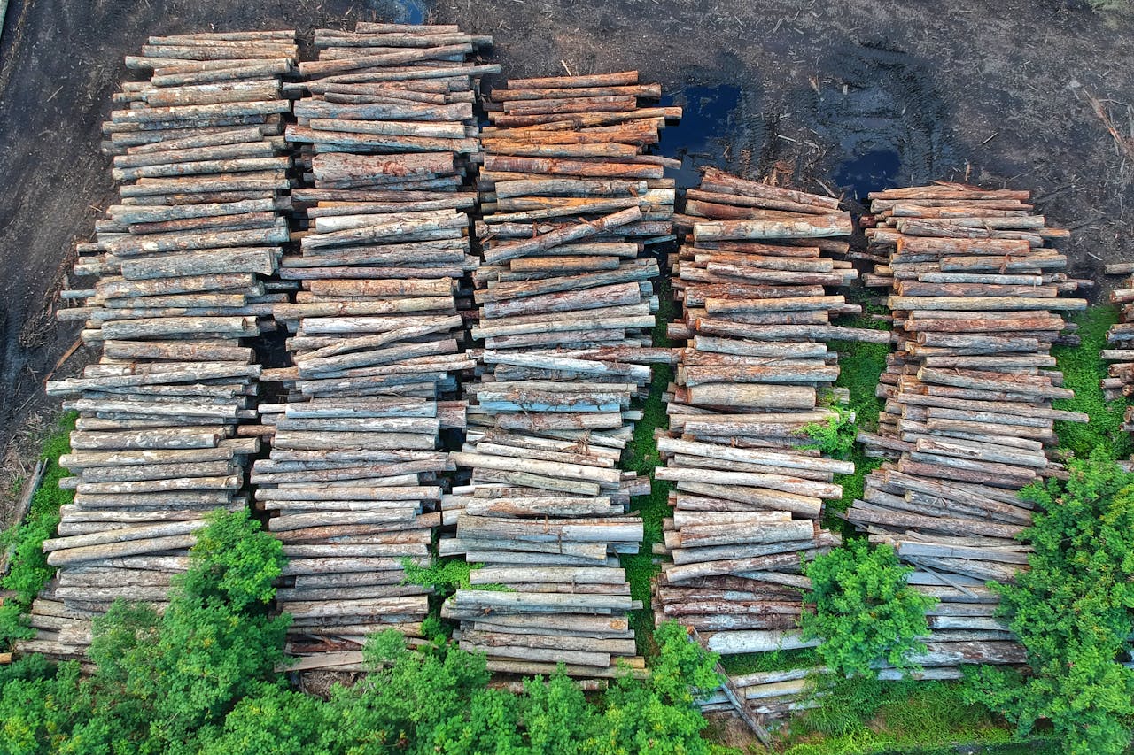 Drone shot of timber logs stacked orderly in Chukai, showcasing forestry and deforestation