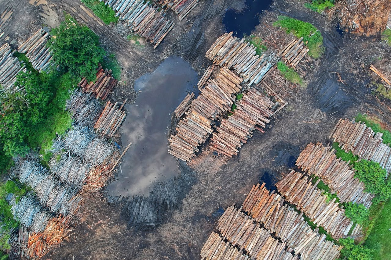 High-altitude shot of stacked logs in a deforested area, showcasing timber and environmental impact.